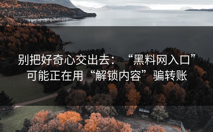 别把好奇心交出去：“黑料网入口”可能正在用“解锁内容”骗转账