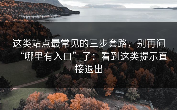这类站点最常见的三步套路，别再问“哪里有入口”了：看到这类提示直接退出