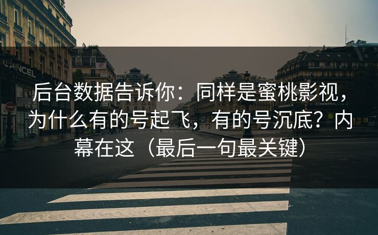 后台数据告诉你：同样是蜜桃影视，为什么有的号起飞，有的号沉底？内幕在这（最后一句最关键）
