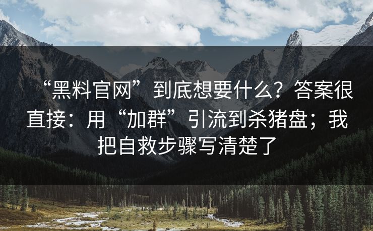 “黑料官网”到底想要什么？答案很直接：用“加群”引流到杀猪盘；我把自救步骤写清楚了