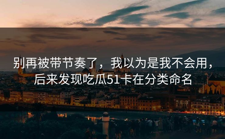 别再被带节奏了，我以为是我不会用，后来发现吃瓜51卡在分类命名